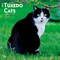 BrownTrout; Tuxedo Cats | 2027 12 x 24 Inch (Hanging) Monthly Square Wall Calendar | Plastic-Free; Category:Wall Calendars; Image:2